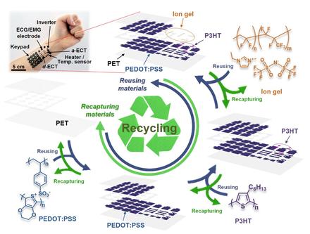 Organic flexible electronics with closed-loop recycling for sustainable wearable technology