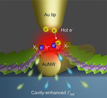 Nanoscale Manipulation of Exciton–Trion Interconversion in a MoSe2 Monolayer via Tip-Enhanced Cavity-Spectroscopy