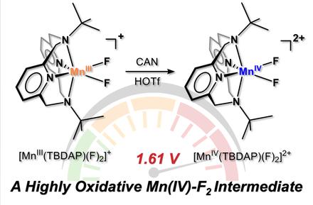 Synthesis, Characterization, and Reactivity of a Highly Oxidative Mononuclear Manganese(IV)–Bis(Fluoro) Complex