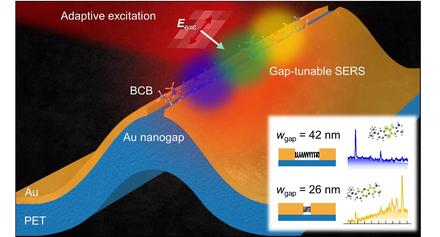Adaptive Gap-Tunable Surface-Enhanced Raman Spectroscopy