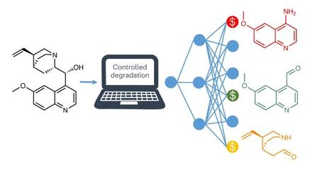 Computational synthesis design for controlled degradation and revalorization