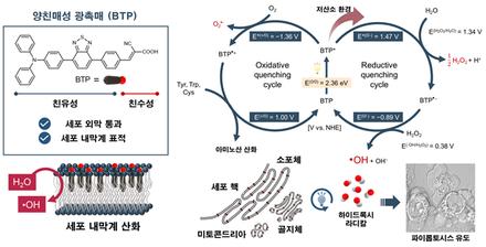 Oxidative photocatalysis on membranes triggers non-canonical pyroptosis