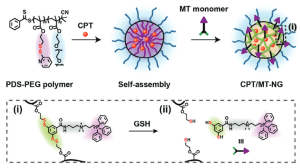Drug-Loaded Nanogel for Efficient Orchestration of Cell Death Pathways by Intramitochondrial Disulfide Polymerization