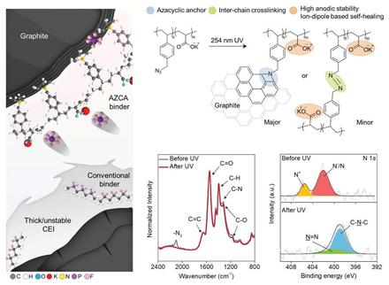 Azacyclic Anchor-Enabled Cohesive Graphite Electrodes for Sustainable Anion Storage