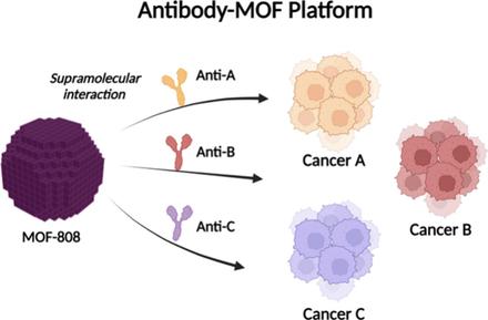 Unveiling the Power of Cloaking Metal–Organic Framework Platforms via Supramolecular Antibody Conjugation