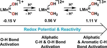 Controlling Redox Potential of a Manganese(III)–Bis(hydroxo) Complex through Protonation and the Hydrogen-Atom Transfer Reactivity