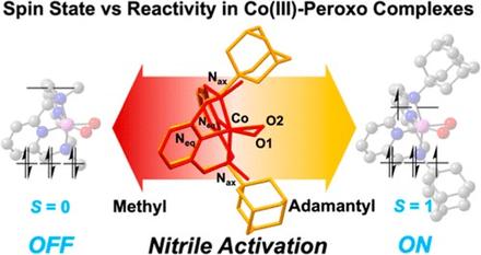 Controlling Reactivity through Spin Manipulation: Steric Bulkiness of Peroxocobalt(III) Complexes