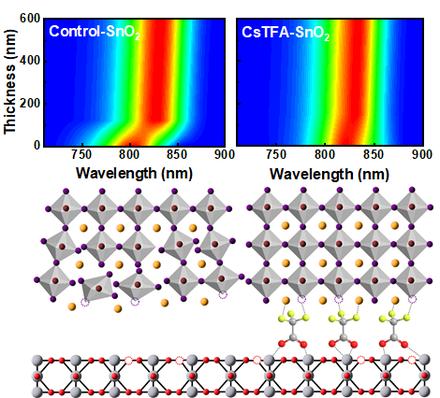 Constructing orderly crystal orientation with a bidirectional coordinator for high efficiency and stable perovskite solar cells