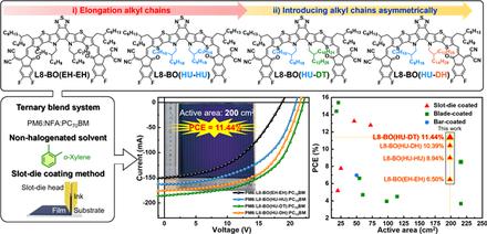 Asymmetrical Elongation of Branched Alkyl Chains in Non-Fullerene Acceptors for Large-Area Organic Solar Modules