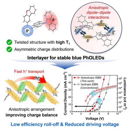 Anisotropy-guided interface molecular engineering for stable blue electroluminescence