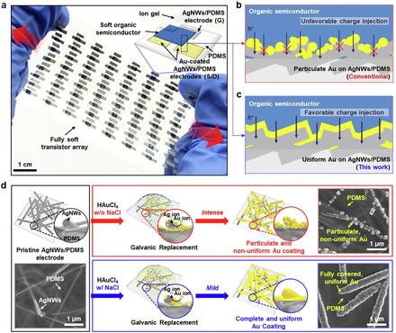 Facile strategy for uniform gold coating on silver nanowires embedded PDMS for soft electronics