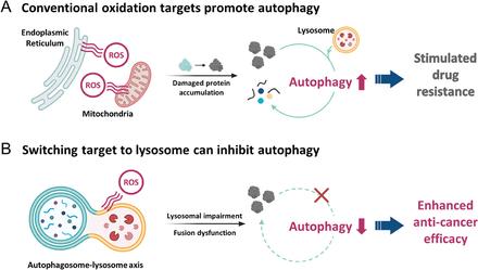 Rational Design of Biocompatible Ir(III) Photosensitizer to Overcome Drug-Resistant Cancer via Oxidative Autophagy Inhibition