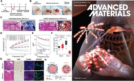 Deeply Implantable, Shape-Morphing, 3D MicroLEDs for Pancreatic Cancer Therapy