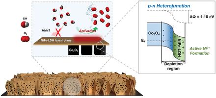 Activation of Hidden Catalytic Sites in 2D Basal Plane via p–n Heterojunction Interface Engineering Toward Efficient Oxygen Evolution Reaction