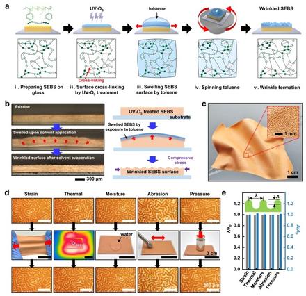 Irreproducible SEBS wrinkling based on spin evaporation enabling identifiable artificial finger pad electronics