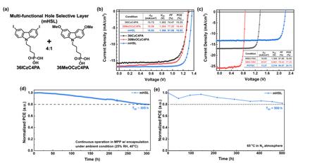 Exceeding 2.2 V Open-Circuit Voltage in Perovskite/Organic Tandem Solar Cells via Multi-Functional Hole-Selective Layer