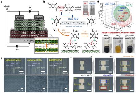 Direct Photopatterning of Green Solvent-Processed 2D Nanomaterials for Wafer-Scale Electronics