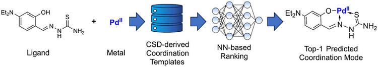 Hybrid Computational Strategy for Predicting Complex Ligand–Metal Architectures