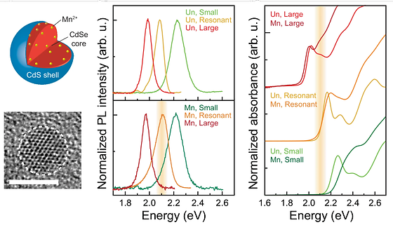 Ultrafast photoreduction driven by interfacial spin exchange in manganese-doped quantum dots