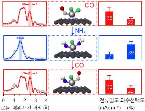 연구그림-로듐-단원자-촉매의-리간드-조절에-따른-촉매-구조-및-반응성-변화